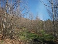 nte Cicirello-10042012 009